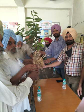 Special camp organized by Agriculture Department in Jindwari